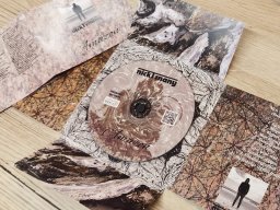 Nick Tznany - Amazon